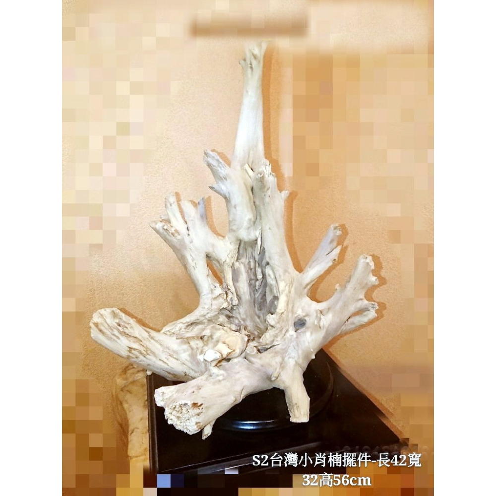 【十木工坊】台灣小肖楠擺件42x32x56cm-S02-細節圖2