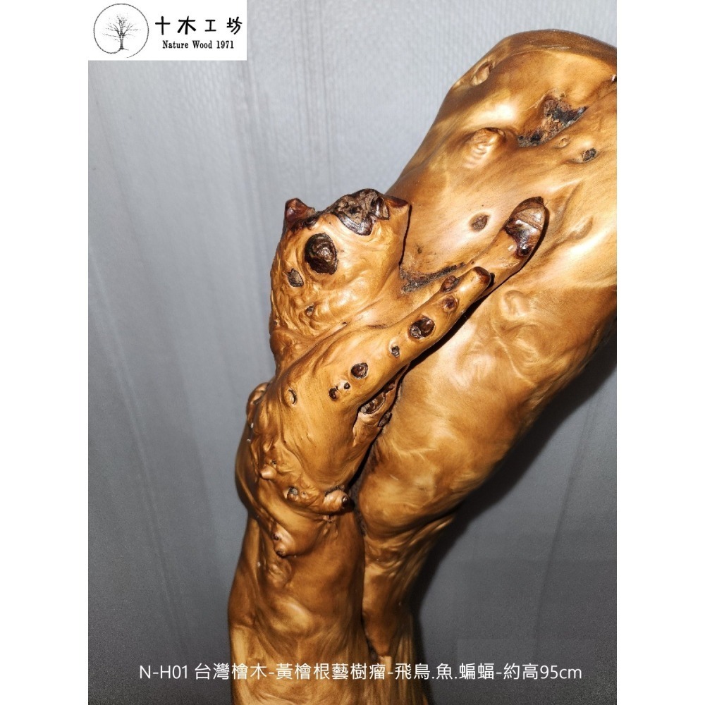 【十木工坊】台灣檜木-黃檜根藝樹瘤-飛鳥.魚.蝙蝠-約高95cm-N-H01-裝置藝術.造型藝術.風水財位-細節圖5