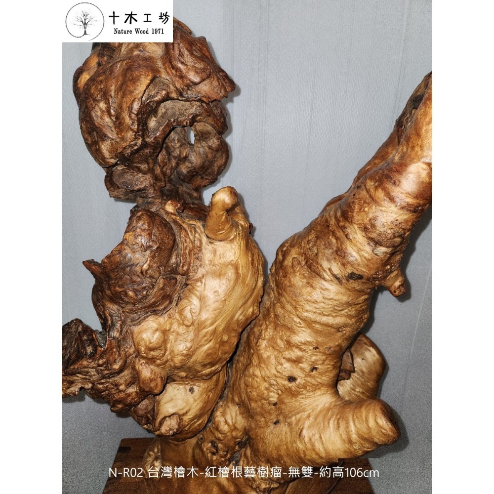 【十木工坊】台灣檜木-紅檜根藝樹瘤-無雙-約高106cm-N-R02-裝置藝術.造型藝術.風水財位-細節圖2