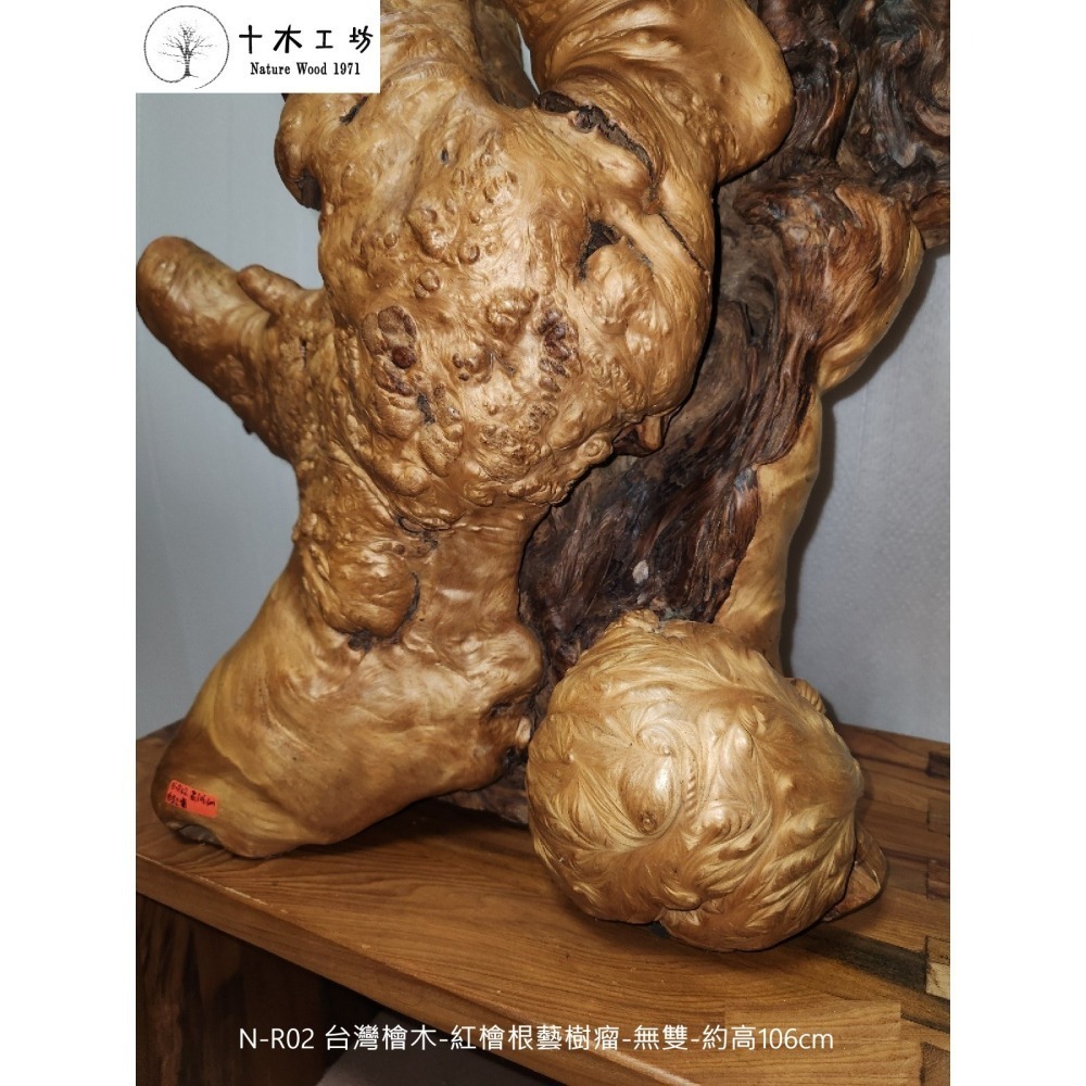 台灣檜木紅檜根藝樹瘤 無雙 106cm N-R02 十木工坊-細節圖7