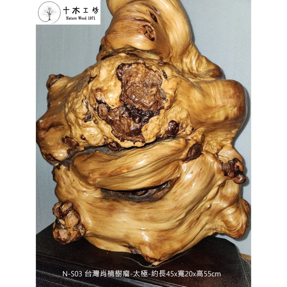 台灣肖楠樹瘤 太極 裝置藝術 55cm N-S03 十木工坊-細節圖4