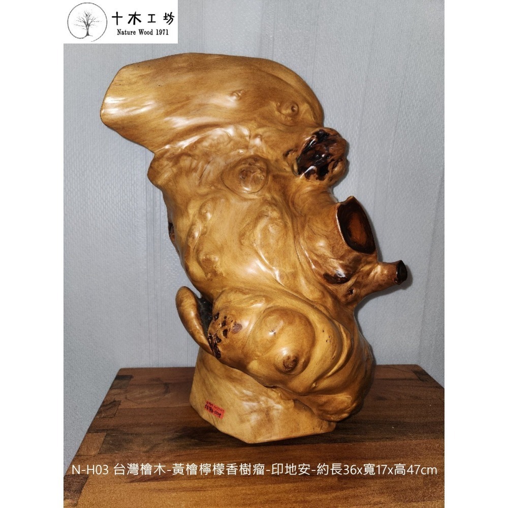 台灣檜木黃檜檸檬香樹瘤 印地安 47cm N-H03 十木工坊-細節圖2