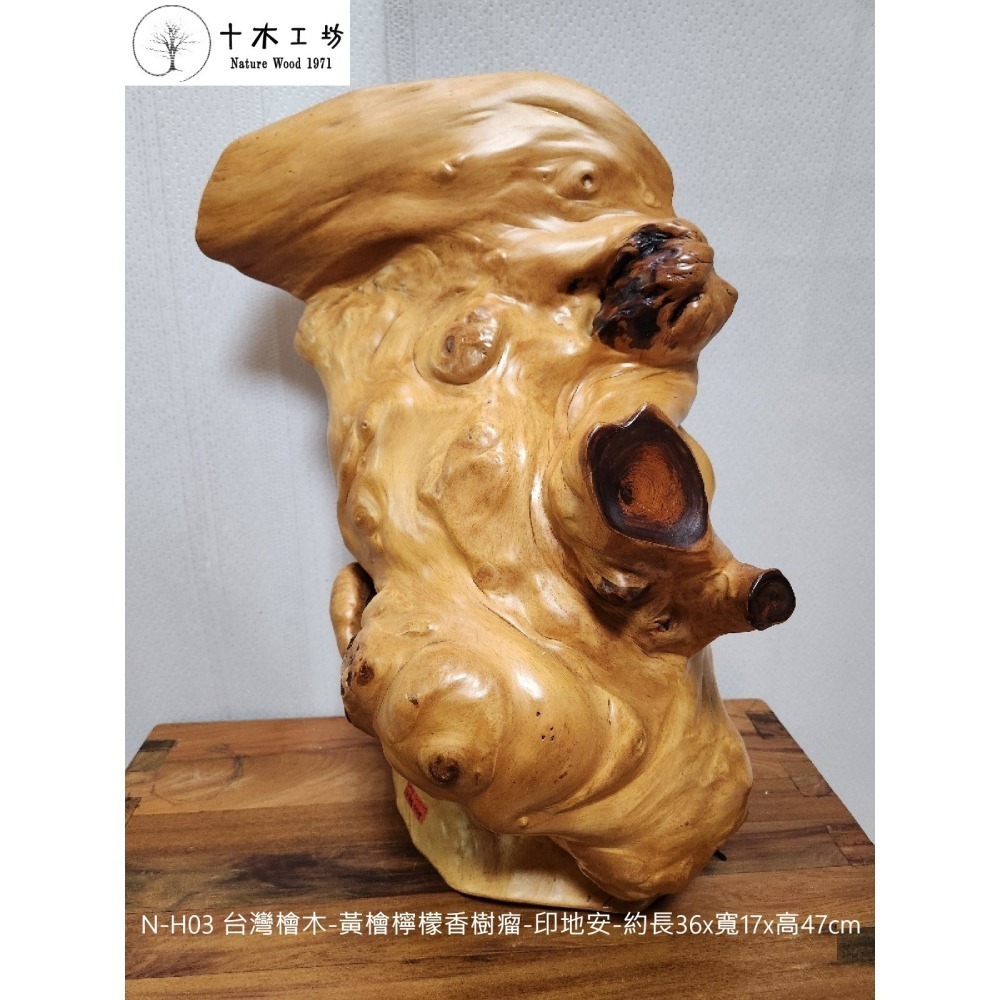 台灣檜木黃檜檸檬香樹瘤 印地安 47cm N-H03 十木工坊-細節圖6