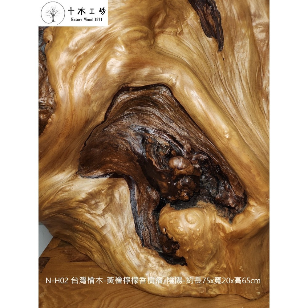 【十木工坊】台灣檜木-黃檜檸檬香樹瘤-陰陽-約長75×寬20×高65cm-N-H02-裝置藝術.造型藝術.風水財位-細節圖2