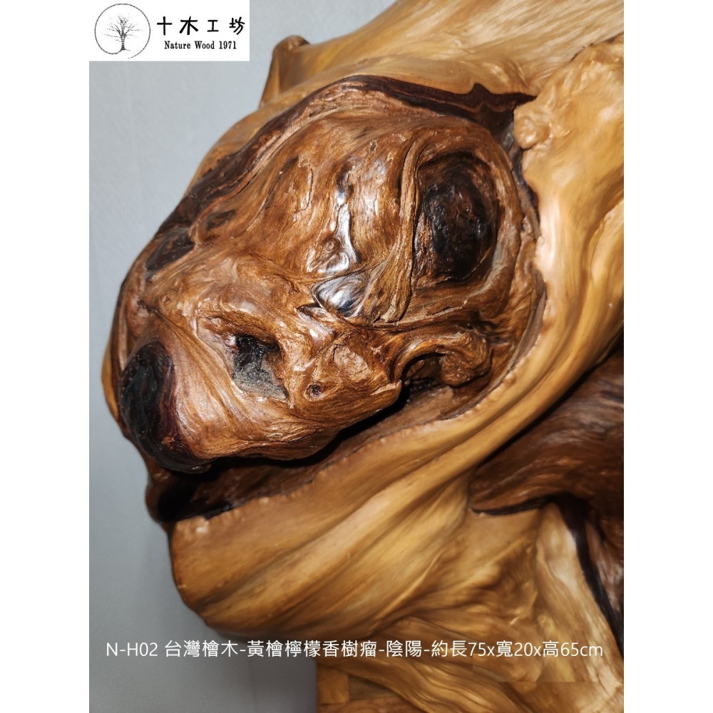 【十木工坊】台灣檜木-黃檜檸檬香樹瘤-陰陽-約長75×寬20×高65cm-N-H02-裝置藝術.造型藝術.風水財位-細節圖3