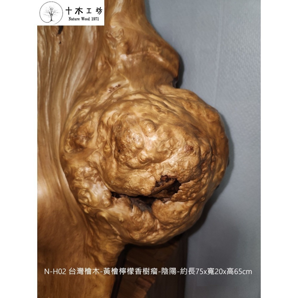 台灣檜木黃檜檸檬香樹瘤 陰陽 75cm N-H02 十木工坊-細節圖5