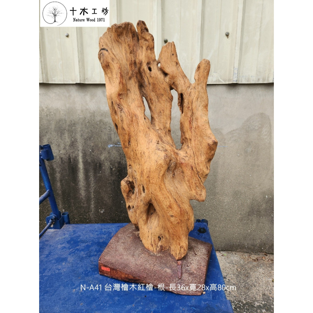 【十木工坊】台灣檜木紅檜-根-長36×寬28×高80cm-N-A41-裝置藝術.造型藝術-細節圖2