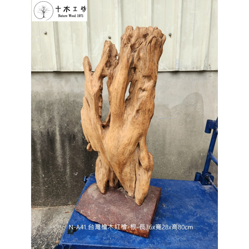 【十木工坊】台灣檜木紅檜-根-長36×寬28×高80cm-N-A41-裝置藝術.造型藝術-細節圖3