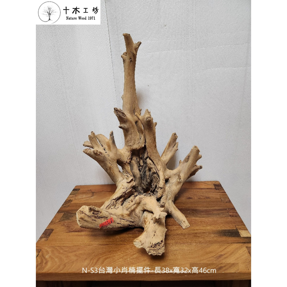【十木工坊】台灣小肖楠擺件-長38x寬32x高46cm-N-S3-天雕奇木.造型擺設.裝置藝術.山林幽徑系列-細節圖2