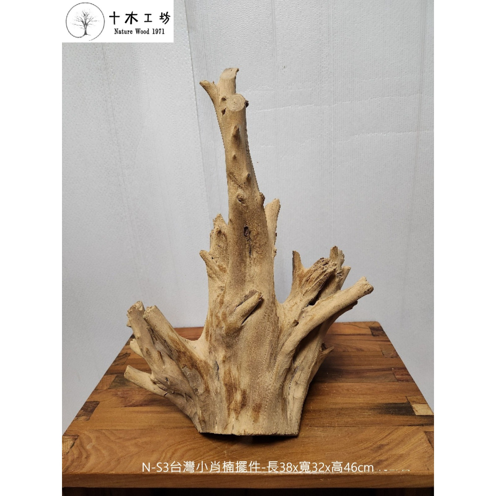 【十木工坊】台灣小肖楠擺件-長38x寬32x高46cm-N-S3-天雕奇木.造型擺設.裝置藝術.山林幽徑系列-細節圖3