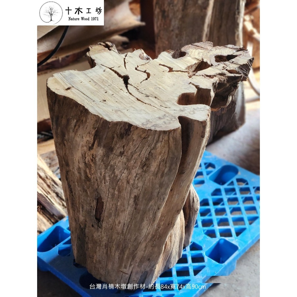 【十木工坊】台灣肖楠木-木墩-原木座-花台-創作材-約292斤重-細節圖3