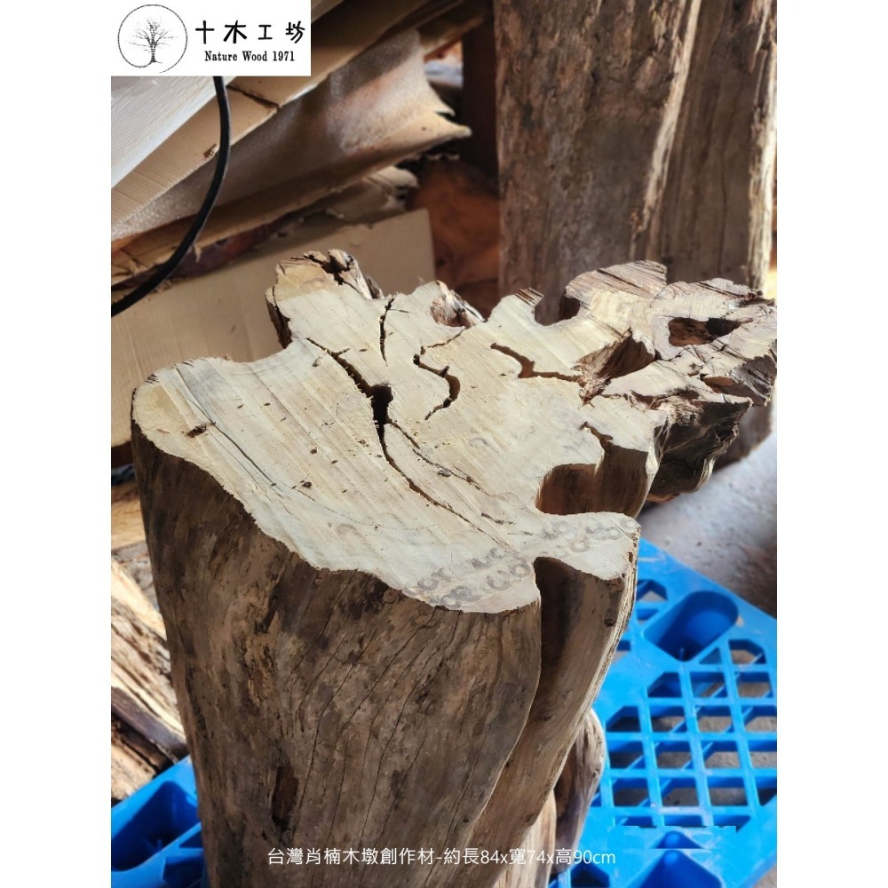 【十木工坊】台灣肖楠木-木墩-原木座-花台-創作材-約292斤重-細節圖4