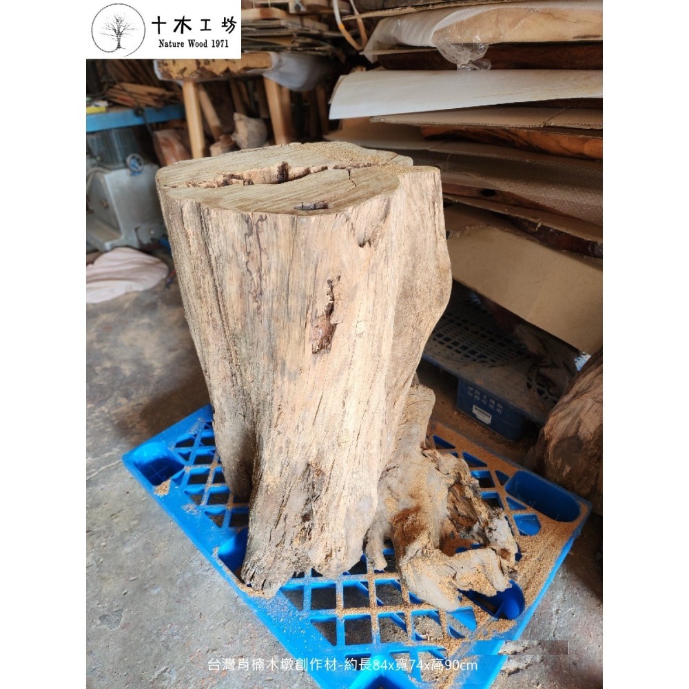 【十木工坊】台灣肖楠木-木墩-原木座-花台-創作材-約292斤重-細節圖5