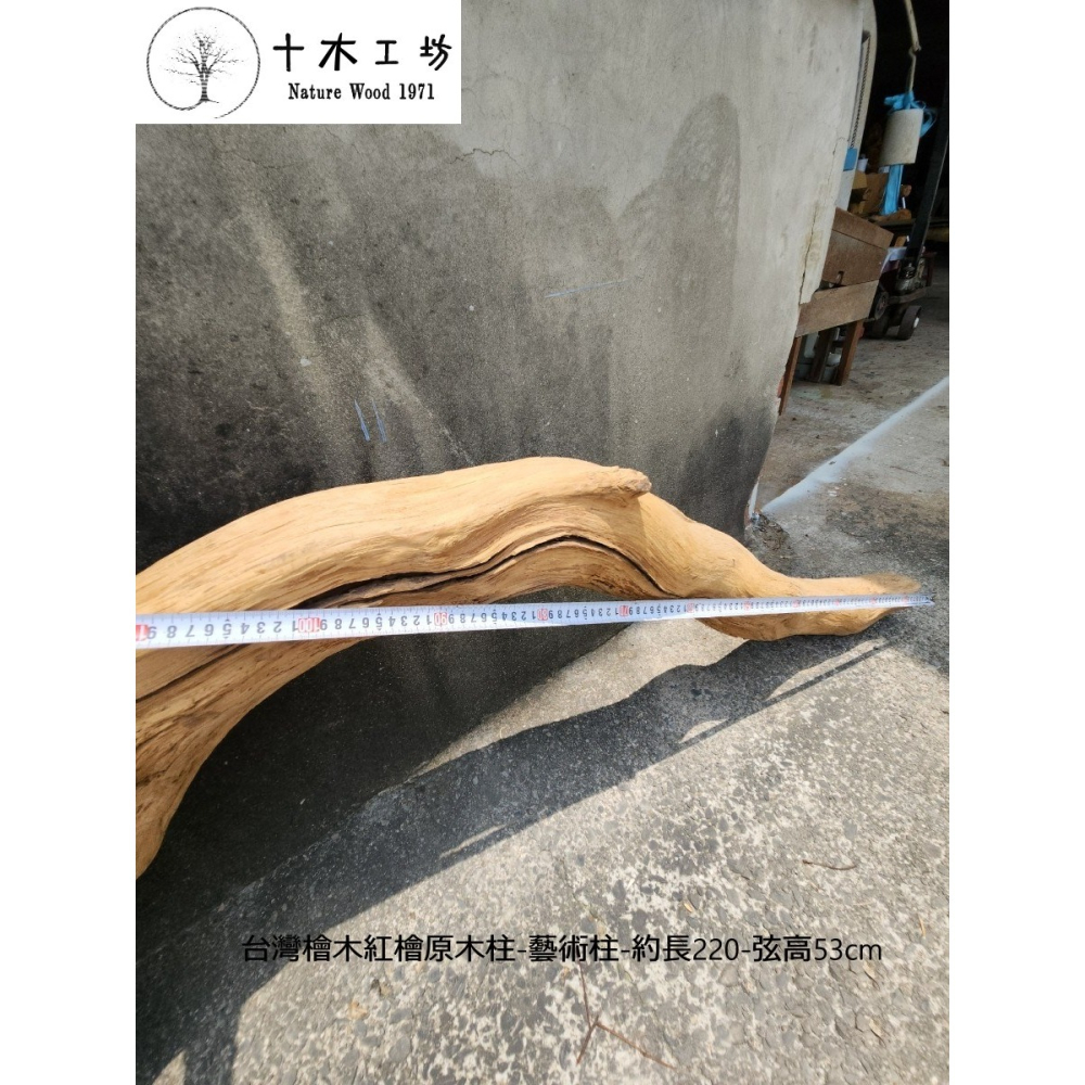 【十木工坊】台灣檜木紅檜原木柱-藝術柱-約長220-弦高53cm-細節圖4