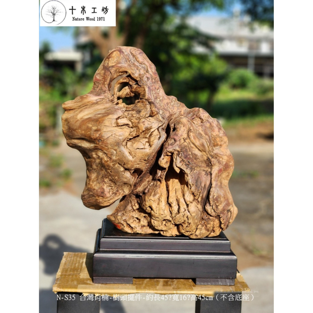 【十木工坊】N-S35 台灣肖楠-樹頭擺件-約長45x寬16x高45cm（不含底座）-細節圖2