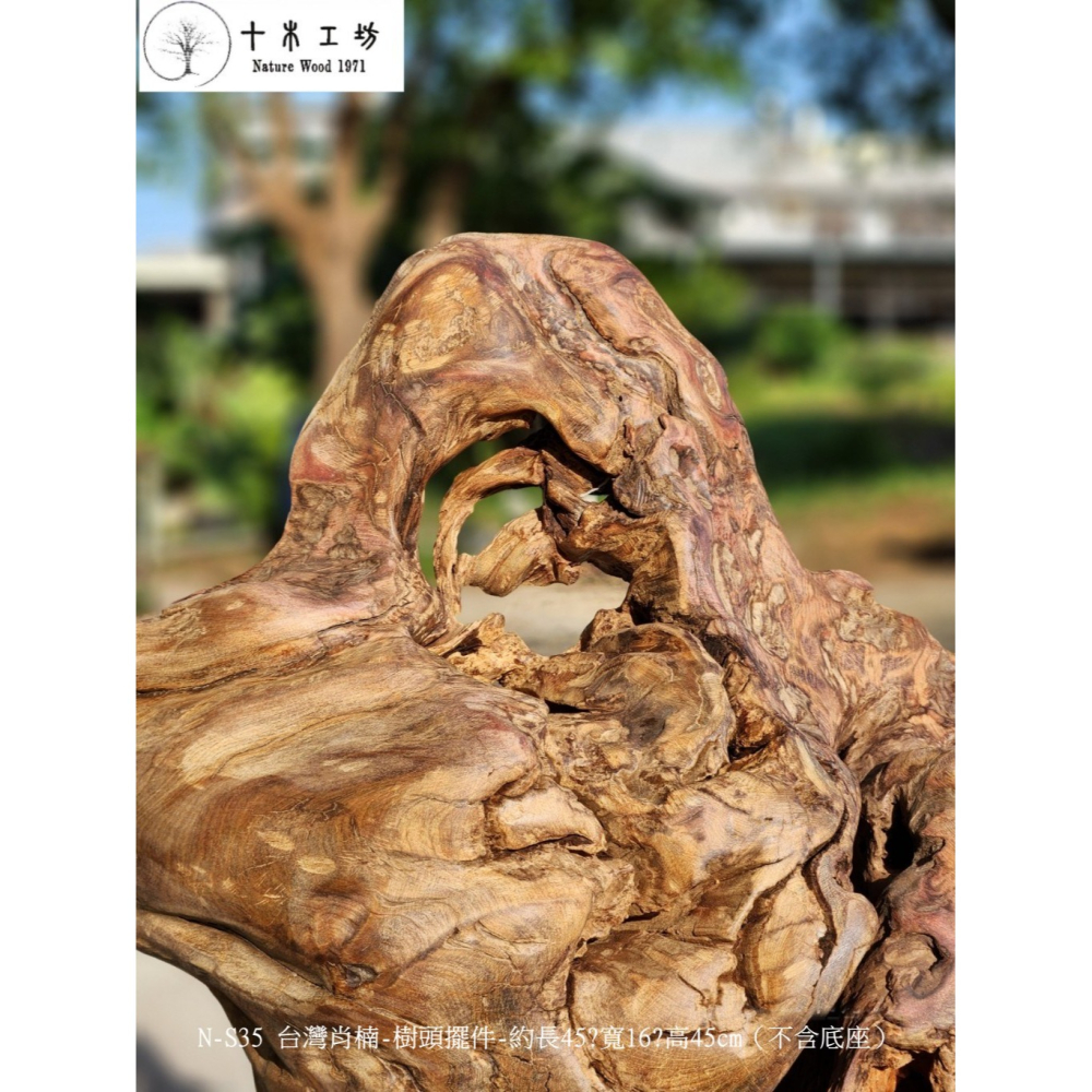 【十木工坊】N-S35 台灣肖楠-樹頭擺件-約長45x寬16x高45cm（不含底座）-細節圖3