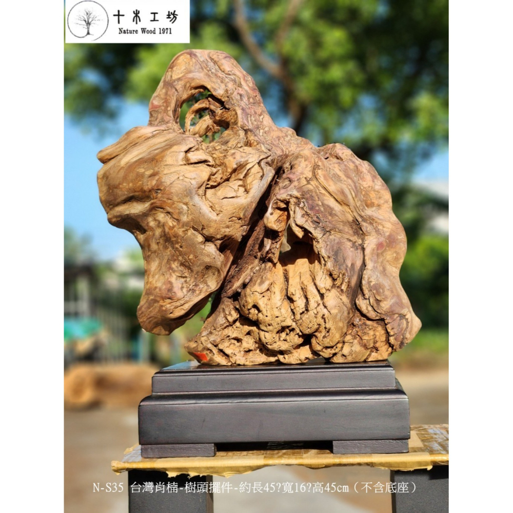【十木工坊】N-S35 台灣肖楠-樹頭擺件-約長45x寬16x高45cm（不含底座）-細節圖4