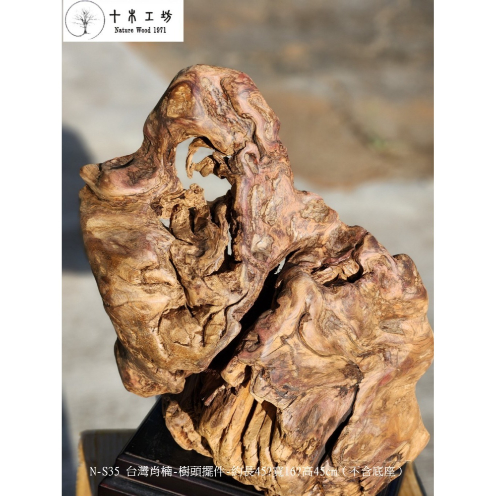 【十木工坊】N-S35 台灣肖楠-樹頭擺件-約長45x寬16x高45cm（不含底座）-細節圖5