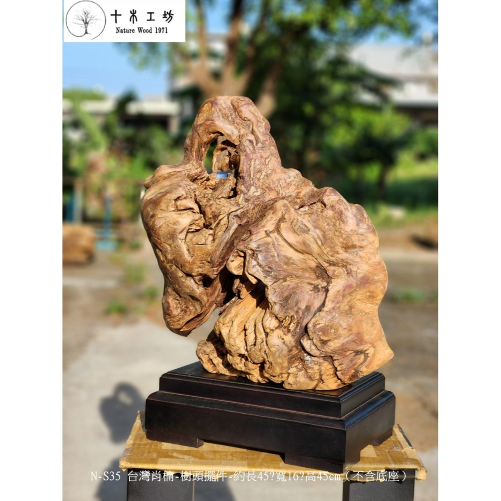 【十木工坊】N-S35 台灣肖楠-樹頭擺件-約長45x寬16x高45cm（不含底座）-細節圖6