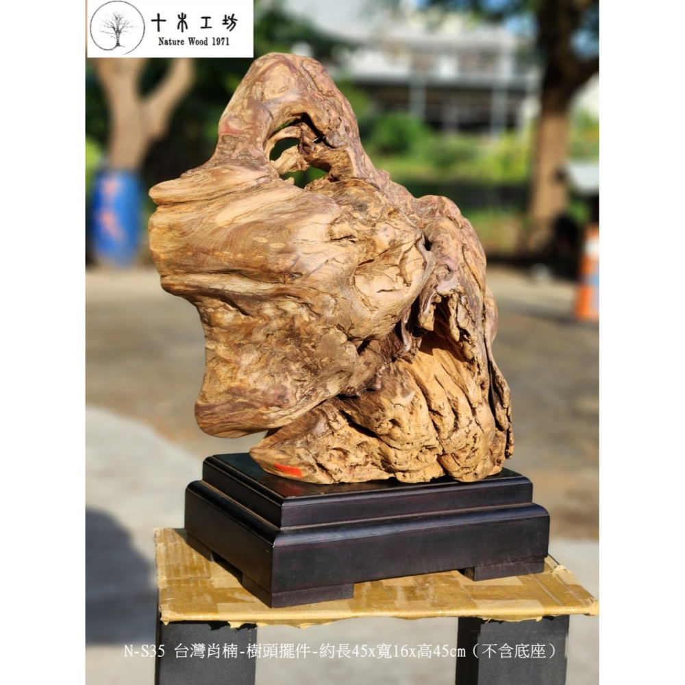 【十木工坊】N-S35 台灣肖楠-樹頭擺件-約長45x寬16x高45cm（不含底座）-細節圖7