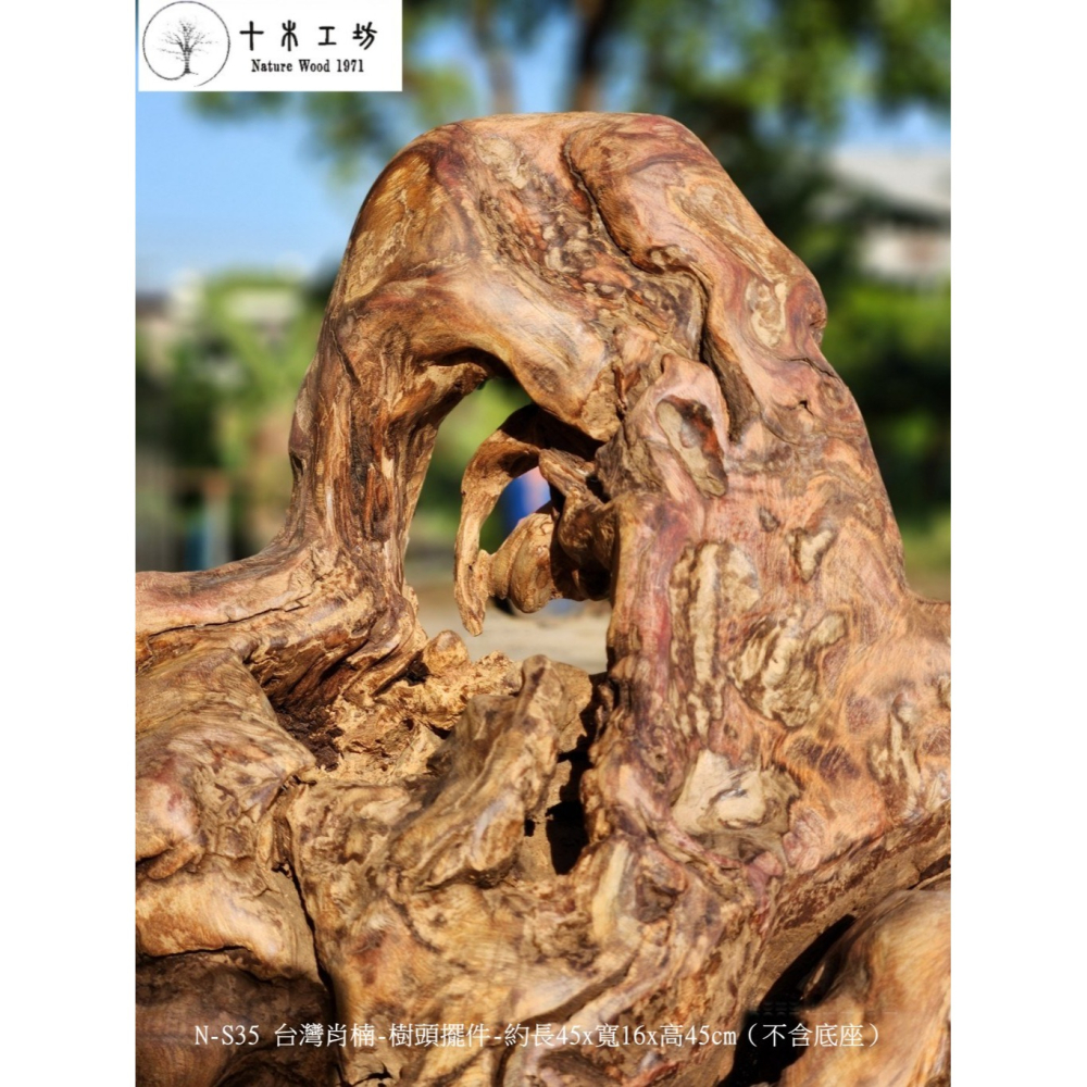 【十木工坊】N-S35 台灣肖楠-樹頭擺件-約長45x寬16x高45cm（不含底座）-細節圖8
