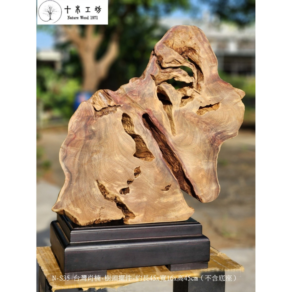 【十木工坊】N-S35 台灣肖楠-樹頭擺件-約長45x寬16x高45cm（不含底座）-細節圖9