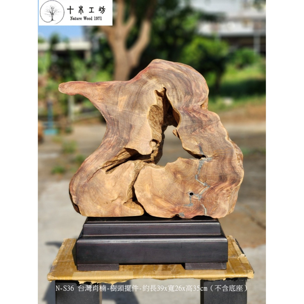 【十木工坊】N-S36 台灣肖楠-樹頭擺件-約長39x寬26x高35cm（不含底座）-細節圖2