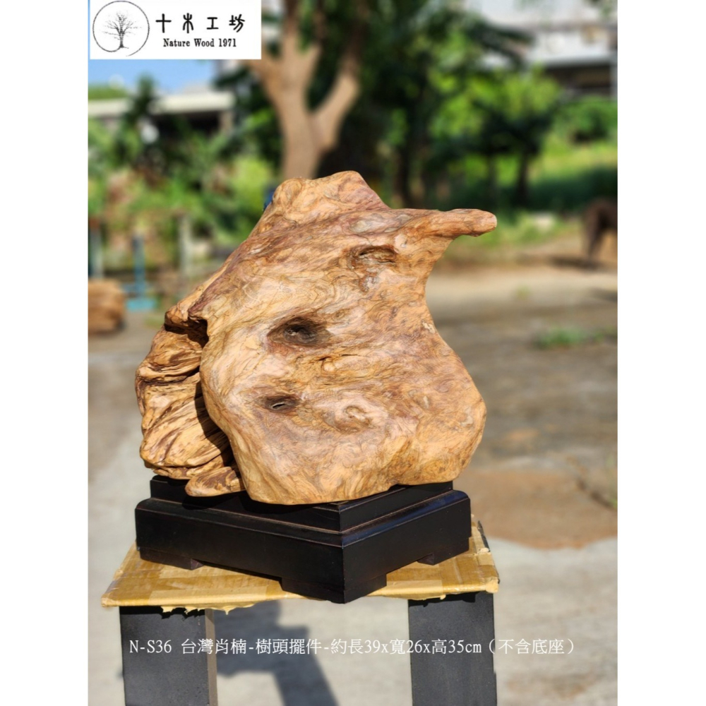 【十木工坊】N-S36 台灣肖楠-樹頭擺件-約長39x寬26x高35cm（不含底座）-細節圖5