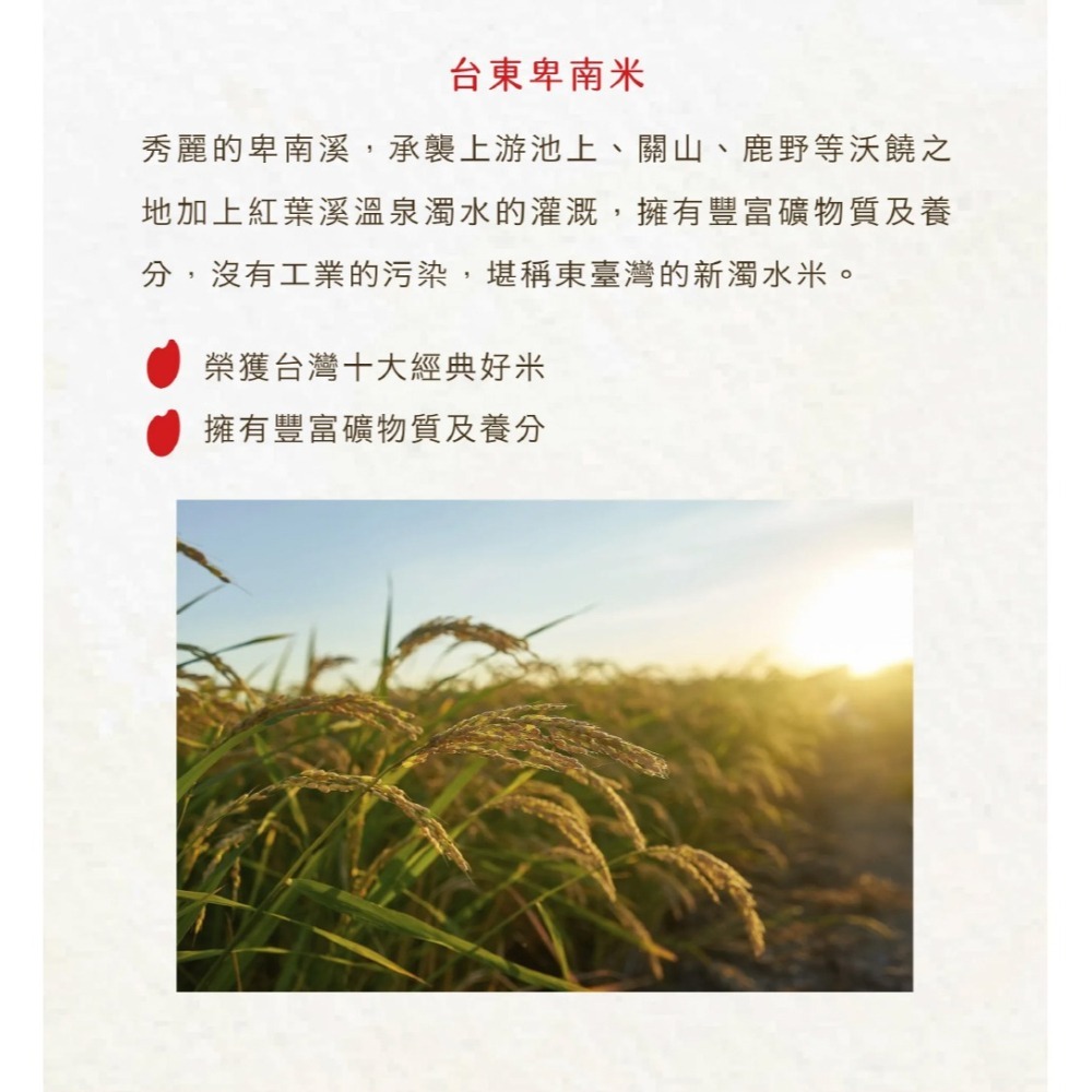 ｜初嚐｜紅烏龍茶米乖乖 餅乾 零食 點心 下午茶 台東特產-細節圖2