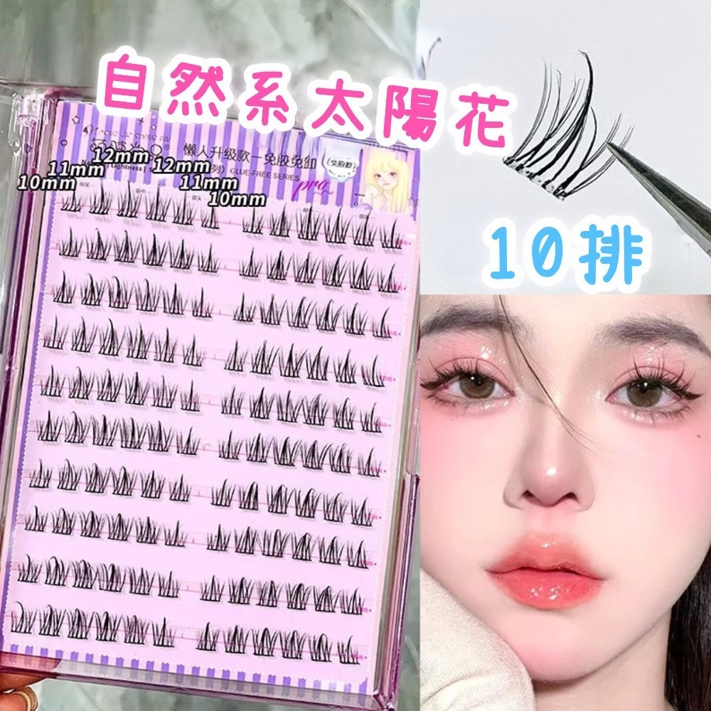 自然系太陽花／10排