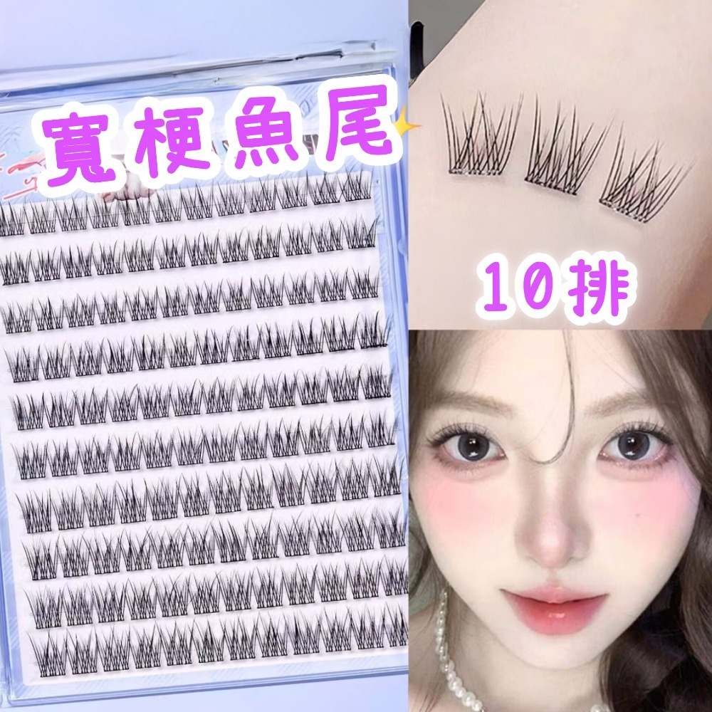 寬梗魚尾／10排