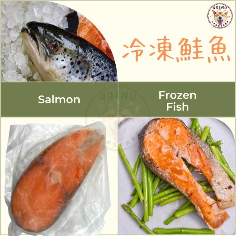 快速出貨 🚚 現貨 QQINU 鮭魚 350g 鮭魚排 菲力鮭魚 鮭魚切片-細節圖5
