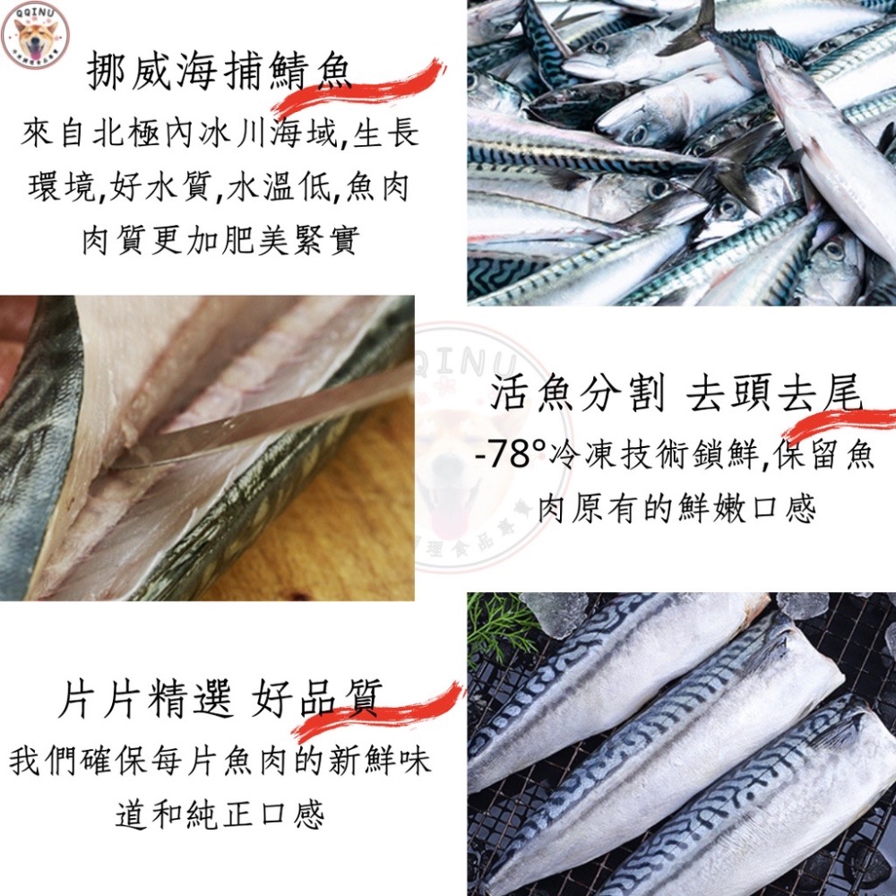 快速出貨 🚚 現貨 QQINU 鯖魚  挪威薄鹽鯖魚片 鯖魚 冷凍食品 魚-細節圖4