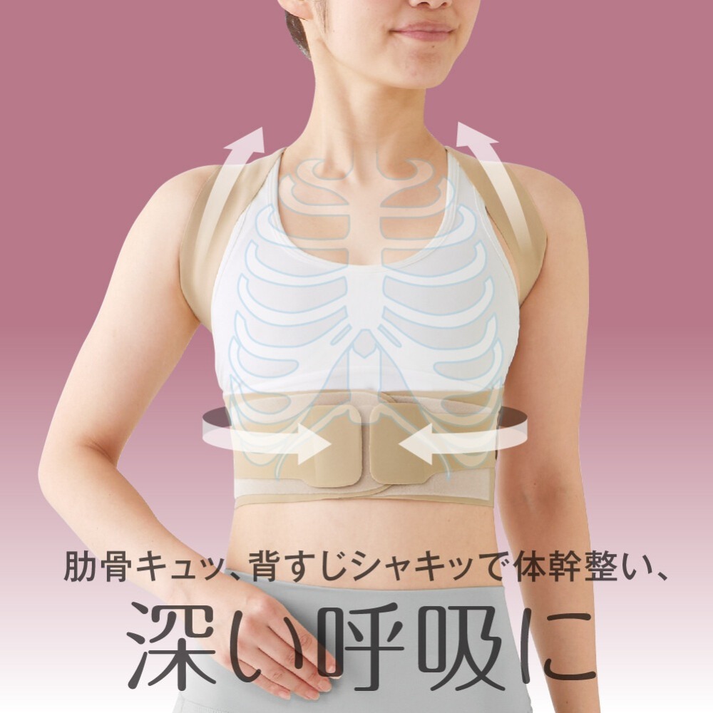 【日印 選物】ALPHAX 日本製 輕薄背架 護腰 束腰 護具 腰夾 背部支撐 美姿調整背帶 現貨附發票-細節圖3