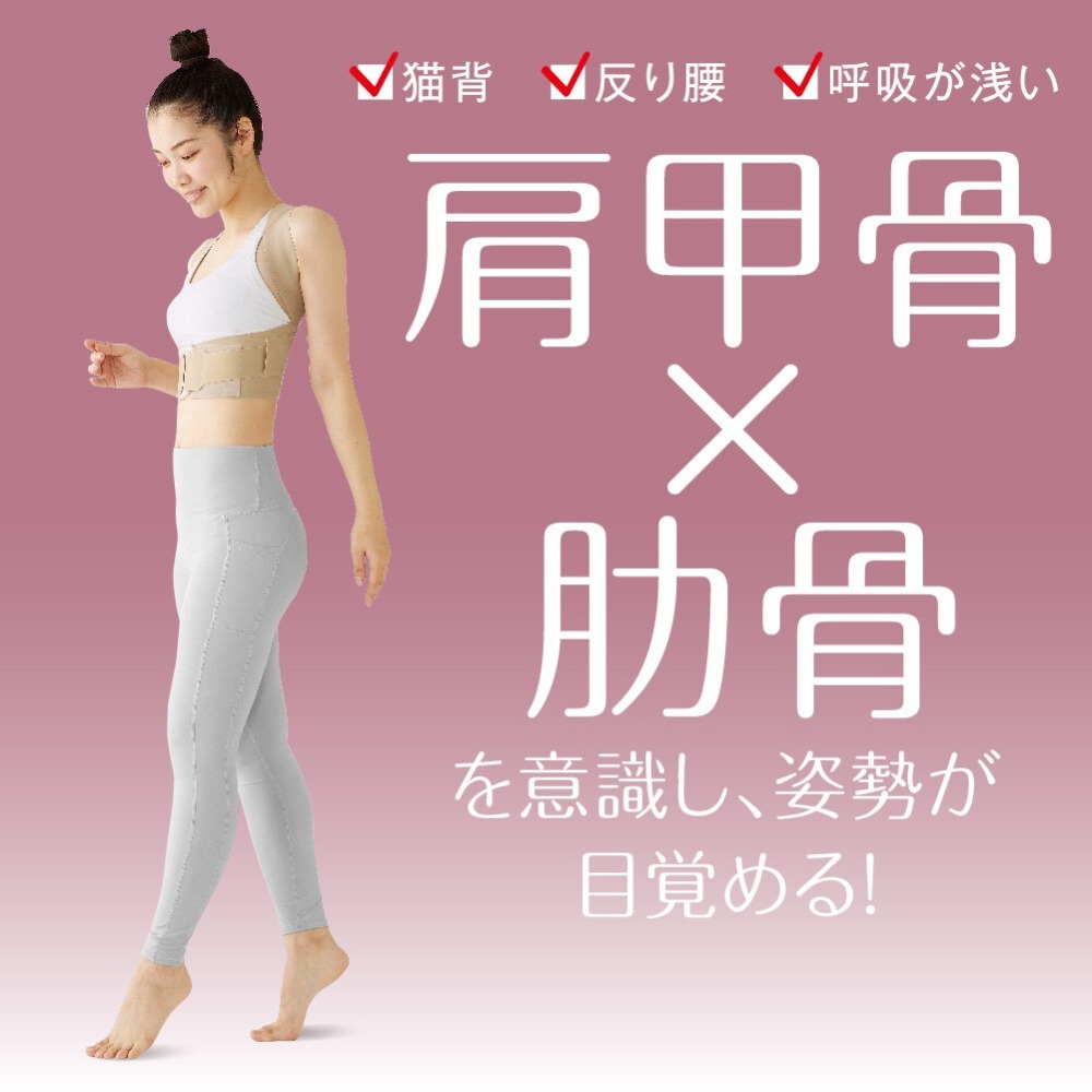 【日印 選物】ALPHAX 日本製 輕薄背架 護腰 束腰 護具 腰夾 背部支撐 美姿調整背帶 現貨附發票-細節圖4