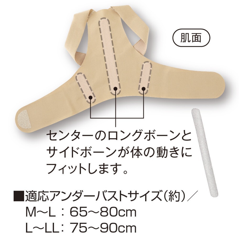 【日印 選物】ALPHAX 日本製 輕薄背架 護腰 束腰 護具 腰夾 背部支撐 美姿調整背帶 現貨附發票-細節圖6