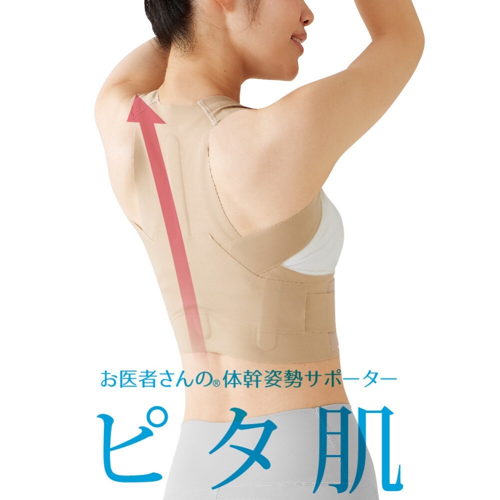 【日印 選物】ALPHAX 日本製 輕薄背架 護腰 束腰 護具 腰夾 背部支撐 美姿調整背帶 現貨附發票-規格圖6