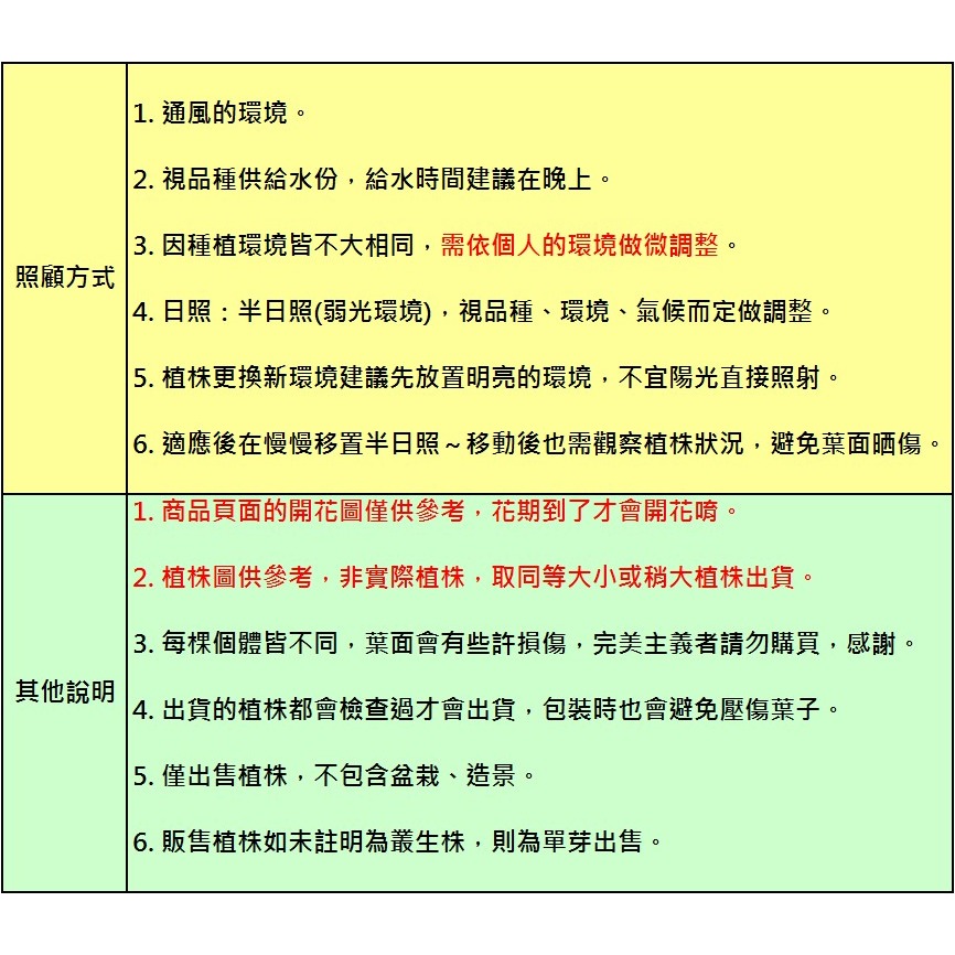 內莉蘿絲x束花小精靈(雨林) T. ＇Nellie Rose＇ x ionantha v. stricta-細節圖5