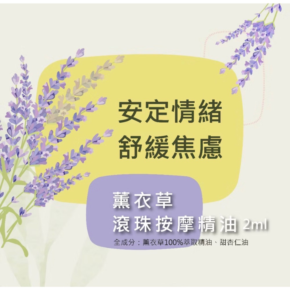 Blueseeds芙彤園 每日舒活滾珠精油組（2ml*5入）薰衣草 柑橘 檸檬 迷迭香 茶樹 精油-細節圖6