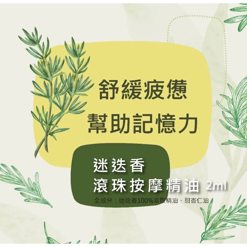 Blueseeds芙彤園 每日舒活滾珠精油組（2ml*5入）薰衣草 柑橘 檸檬 迷迭香 茶樹 精油-細節圖8