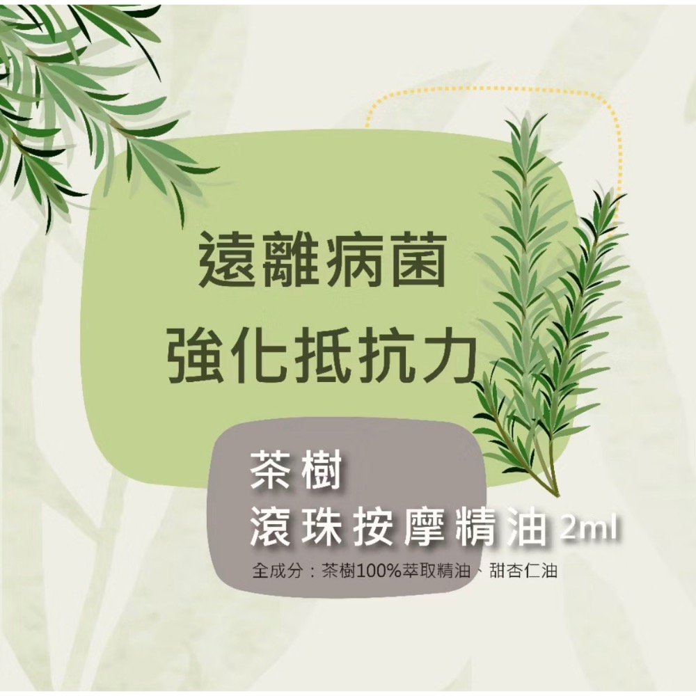 Blueseeds芙彤園 每日舒活滾珠精油組（2ml*5入）薰衣草 柑橘 檸檬 迷迭香 茶樹 精油-細節圖10