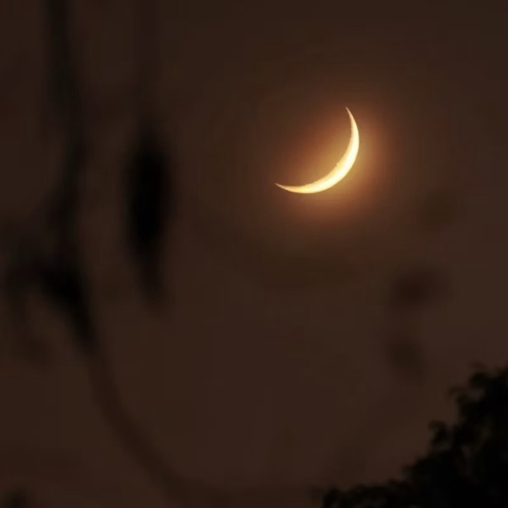 poppy-ins月亮燈 小夜燈 氣氛燈 月亮小夜燈 造型夜燈 床頭燈 月球燈 夜燈LED 交換禮物 質感睡眠燈-細節圖7