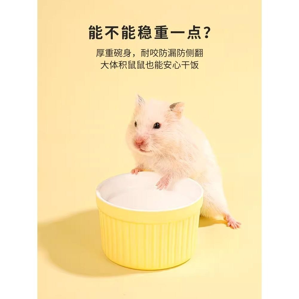 卡諾 鼠鼠食盆 陶瓷防翻飯碗-細節圖5