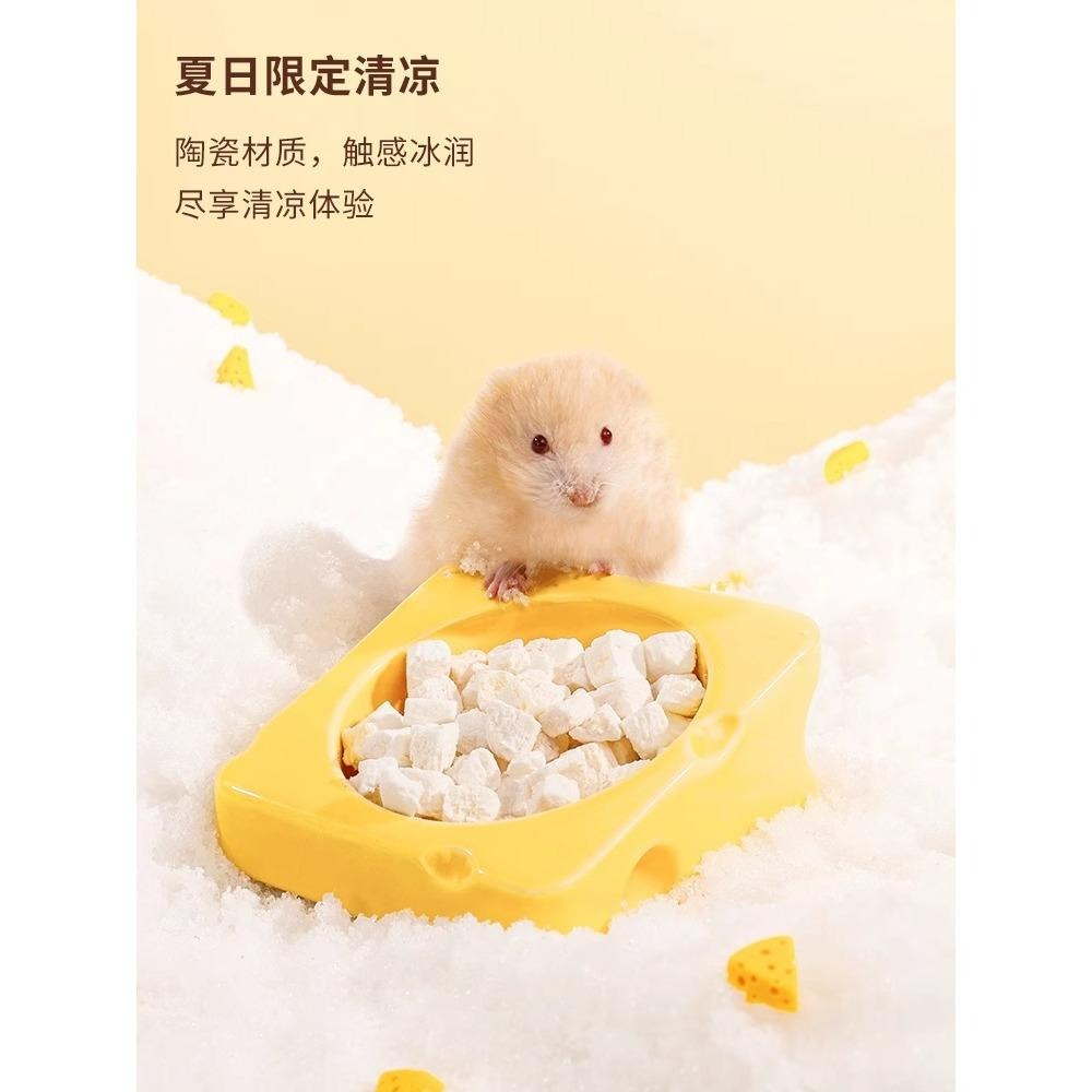 卡諾鼠鼠食盆 芝吱食盆 小寵專屬防翻食盆-細節圖2