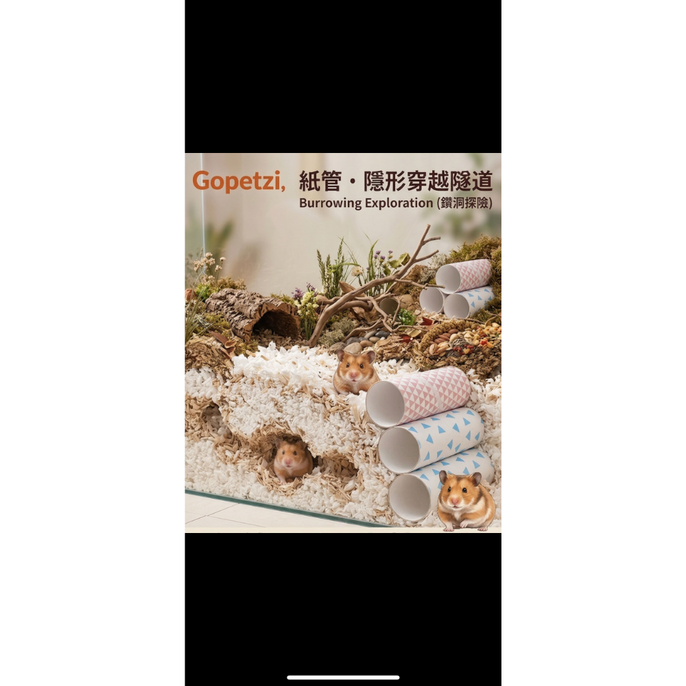 小米媞紙管隧道-細節圖4