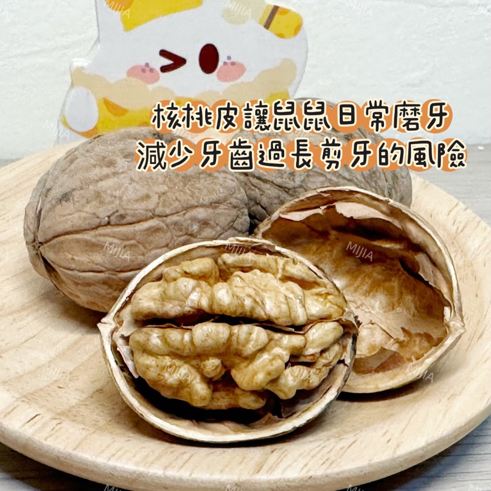 核桃-細節圖2