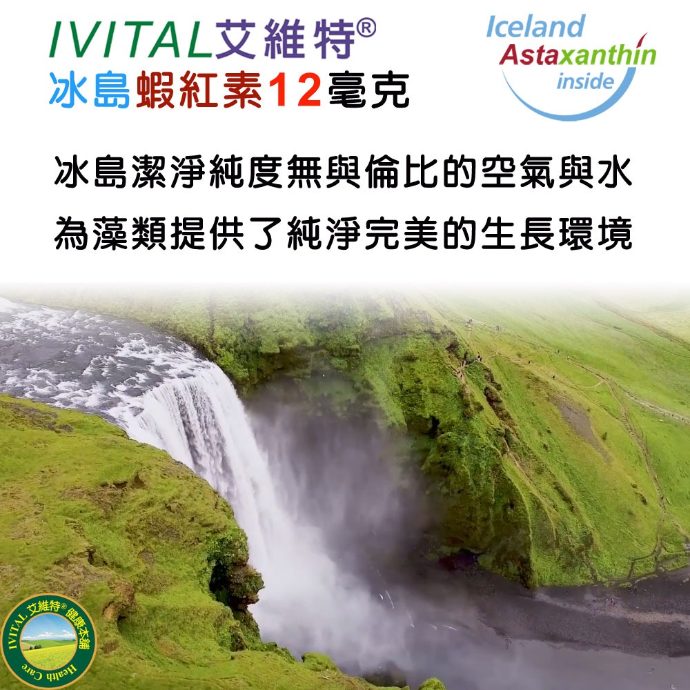 IVITAL艾維特®液態蝦紅素12毫克+微藻DHA/EPA膠囊(60粒)全素-細節圖2