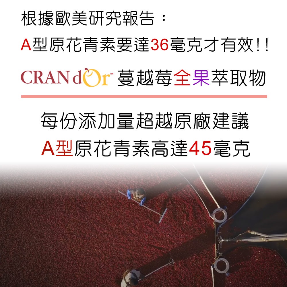 DL-ABS淨敏舒®蔓越莓+私密益生菌+洛神花萼+甘露糖膠囊(60粒)【3大國際原廠授權 2道私密呵護】全素-細節圖7
