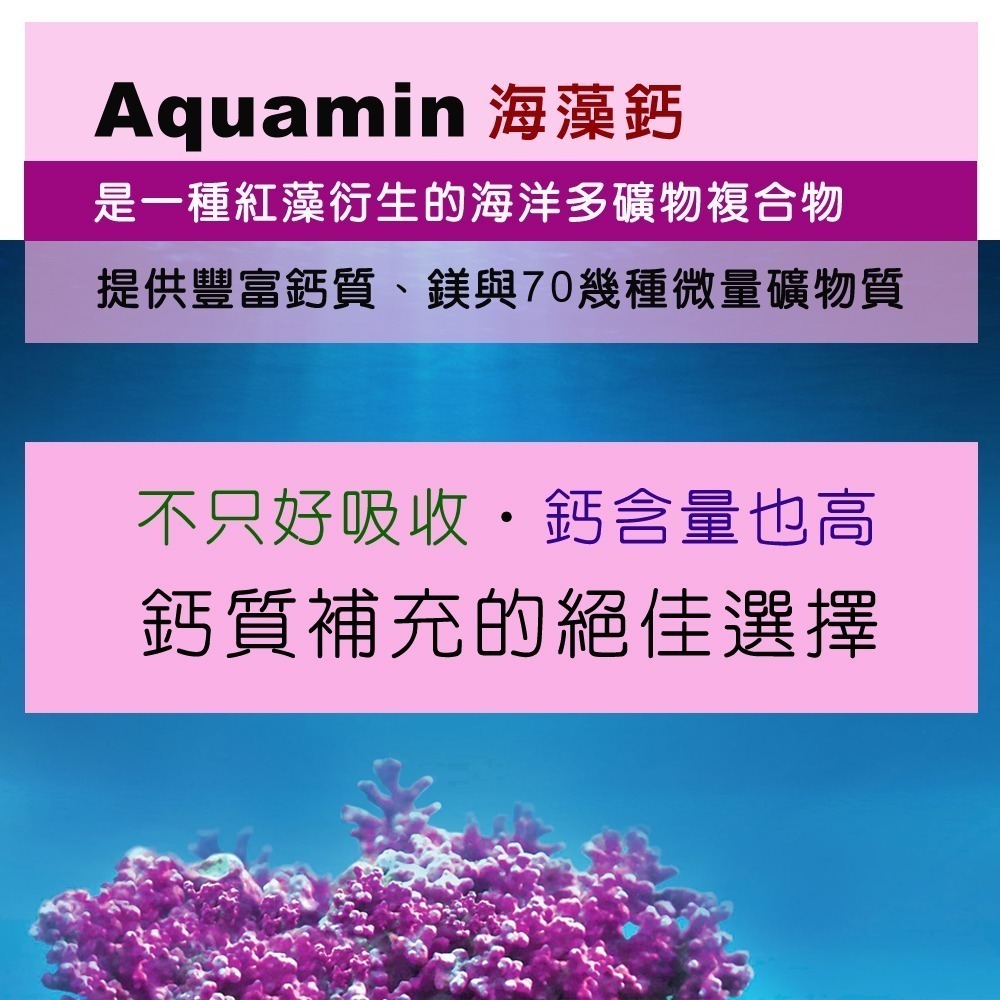IVITAL艾維特®海藻鈣+蕎麥D3+K2 微甜可嚼錠100錠「買2送2盒B群組」全素-細節圖4
