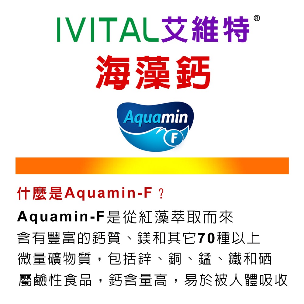 IVITAL艾維特®海藻鈣微甜可嚼錠(100錠)「買2送2盒B群組」-細節圖2